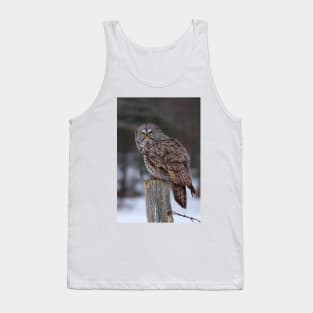 Piss Off! - Great Grey Owl Tank Top